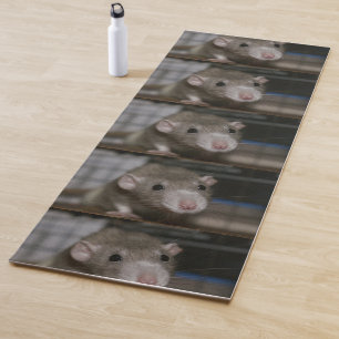 Neugierige Ratte Yogamatte