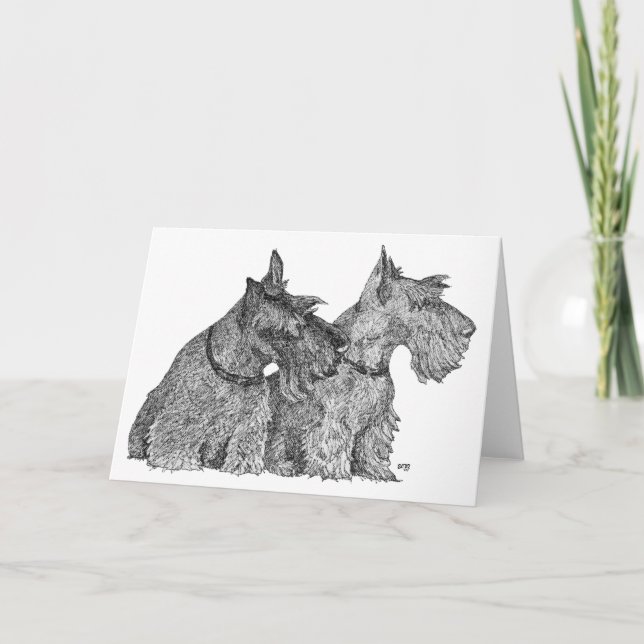 Neugierige Scottish Terriers Pen & Ink Sketch Karte (Vorderseite)