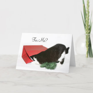 Neugierige Weihnachtskatze Feiertagskarte