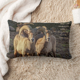 Neugierige Wüstenbighorn Sheep Ram and Ewes Lendenkissen