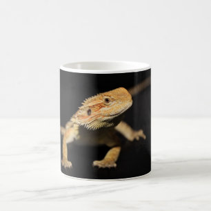 Neugieriger bärtiger Drache Kaffeetasse