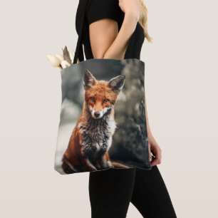 Neugieriger Big Red und White Fox Sitzen in der Na Tasche