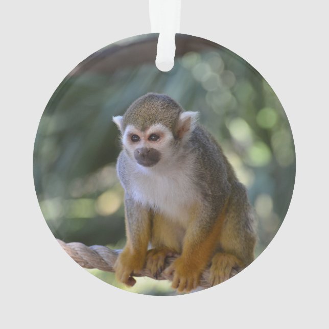 Neugieriger Eichhörnchen-Affe Ornament (Rückseite)