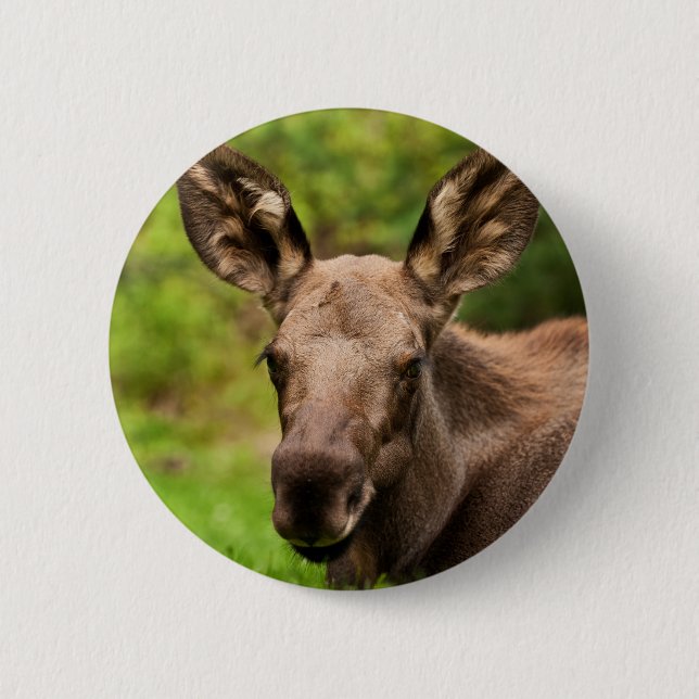 Neugieriger Elch Button (Vorderseite)