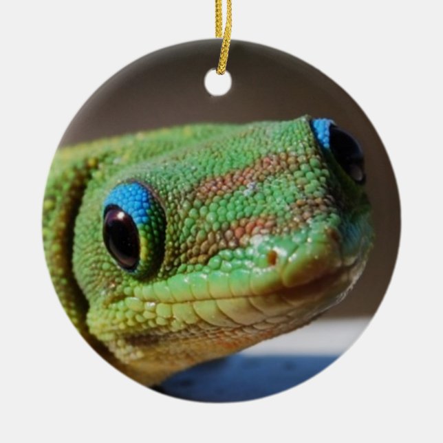 Neugieriger Gecko Keramik Ornament (Vorne)