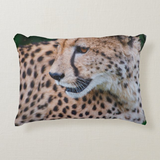 NEUGIERIGER GEPARD DEKOKISSEN (Vorderseite)