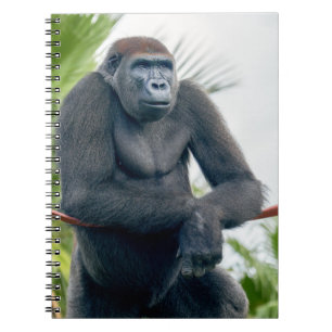 Neugieriger Gorilla steht aufrecht Notizblock