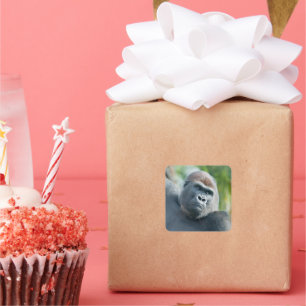 Neugieriger Gorilla steht aufrecht Quadratischer Aufkleber