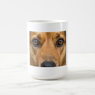 Neugieriger Hund beim Beobachten Kaffeetasse