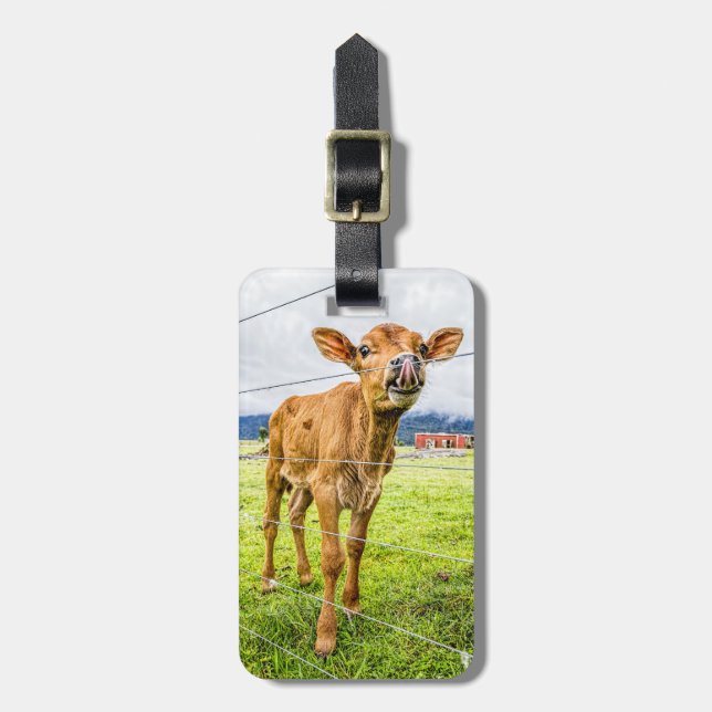Neugieriger Kalb-Gepäckanhänger Gepäckanhänger (Vorderseite vertikal)
