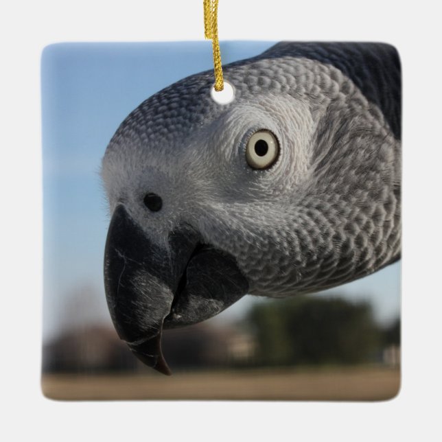 Neugieriger Kongo-Afrikanischer Grauer Papagei Keramikornament (Vorderseite)