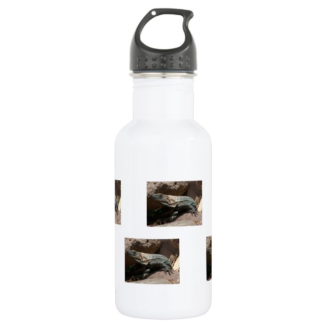 Neugieriger Leguan Edelstahlflasche (Vorderseite)