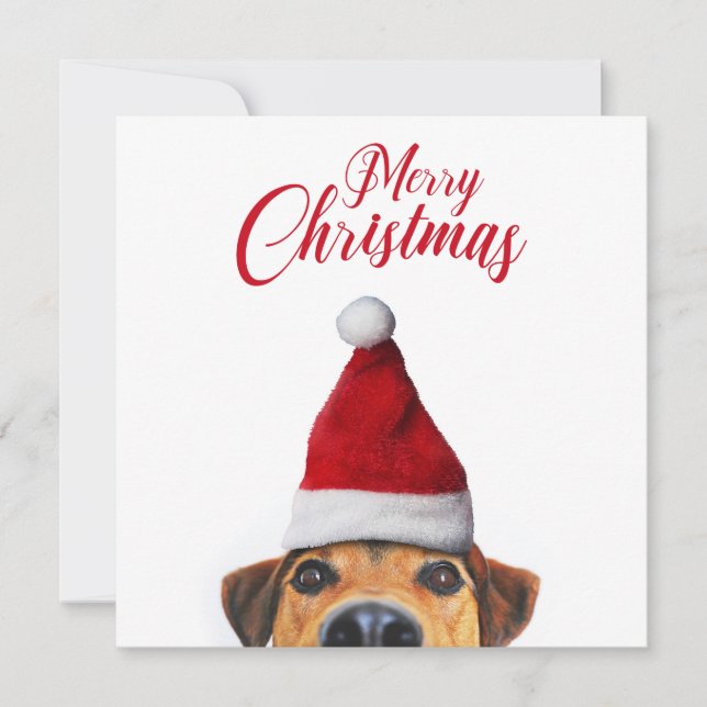 Neugieriger Niedlicher Hund mit Weihnachtsmannmütz Einladung (Vorderseite)