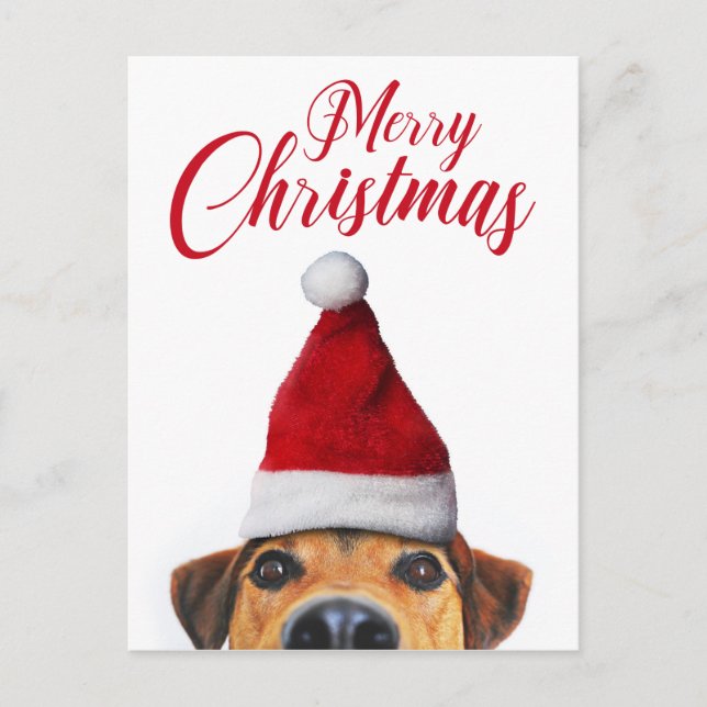 Neugieriger Niedlicher Hund mit Weihnachtsmannmütz Feiertagspostkarte (Vorderseite)