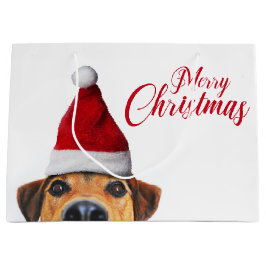 Neugieriger Niedlicher Hund mit Weihnachtsmannmütz Große Geschenktüte