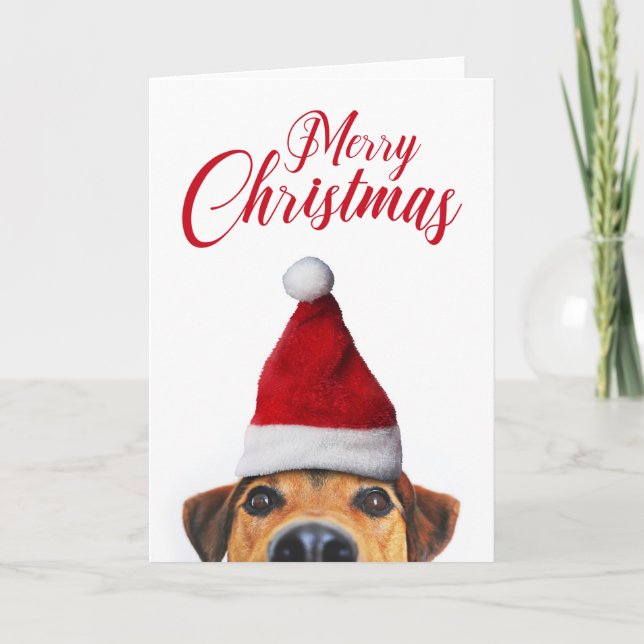 Neugieriger Niedlicher Hund mit Weihnachtsmannmütz Karte (Vorderseite)