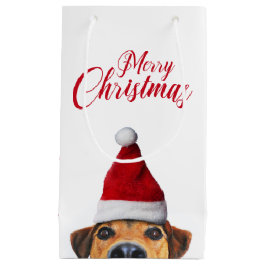 Neugieriger Niedlicher Hund mit Weihnachtsmannmütz Kleine Geschenktüte