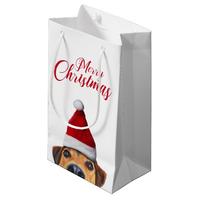 Neugieriger Niedlicher Hund mit Weihnachtsmannmütz Kleine Geschenktüte (Vorderseite Schrägansicht)