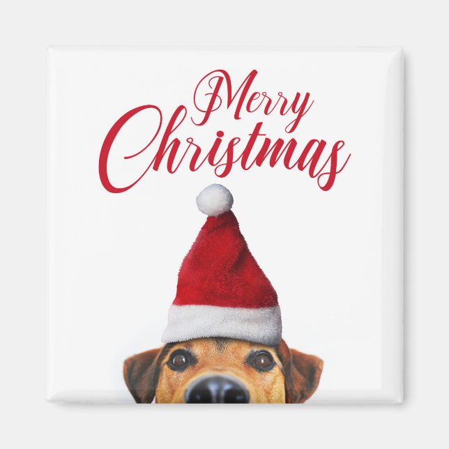 Neugieriger Niedlicher Hund mit Weihnachtsmannmütz Magnet (Vorne)