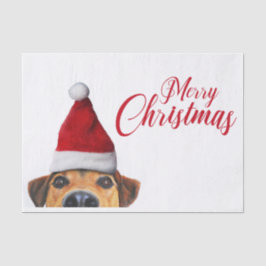 Neugieriger Niedlicher Hund mit Weihnachtsmannmütz Seidenpapier