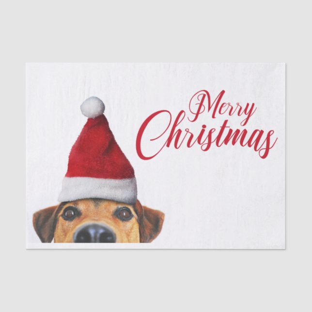 Neugieriger Niedlicher Hund mit Weihnachtsmannmütz Seidenpapier (Vorderseite)