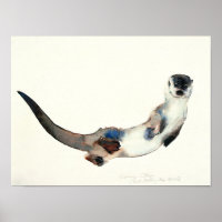 Neugieriger Otter 2003