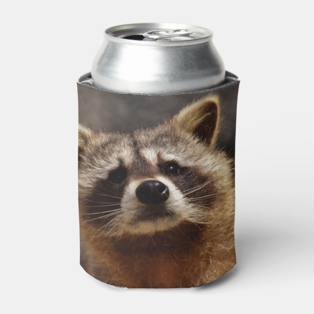 Neugieriger Raccoon Dosenkühler (Kanne Vorderseite)