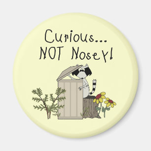 Neugieriger Raccoon Magnet