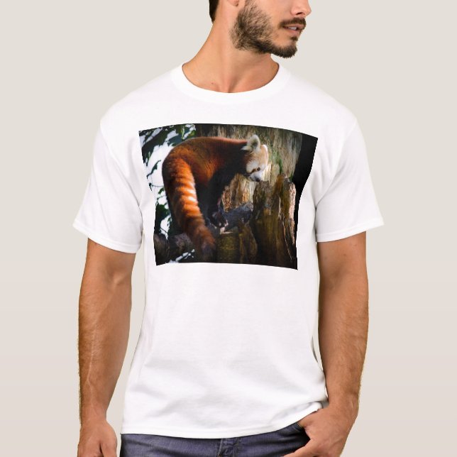 neugieriger roter Panda T-Shirt (Vorderseite)