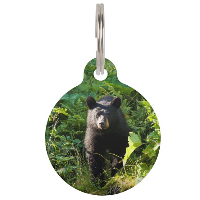 Neugieriger schwarzer Bär Haustiermarke (Vorderseite)