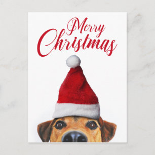 Neugieriger süßer lustiger Hund mit Weihnachtsmann Feiertagspostkarte