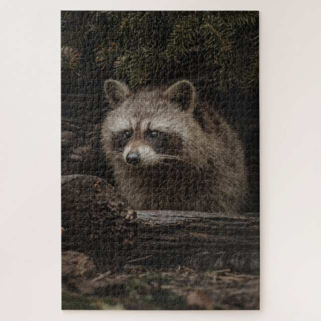Neugieriger Waschbär im Waldtier (Vertikal)
