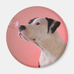 Neugieriger Welpe Magnet