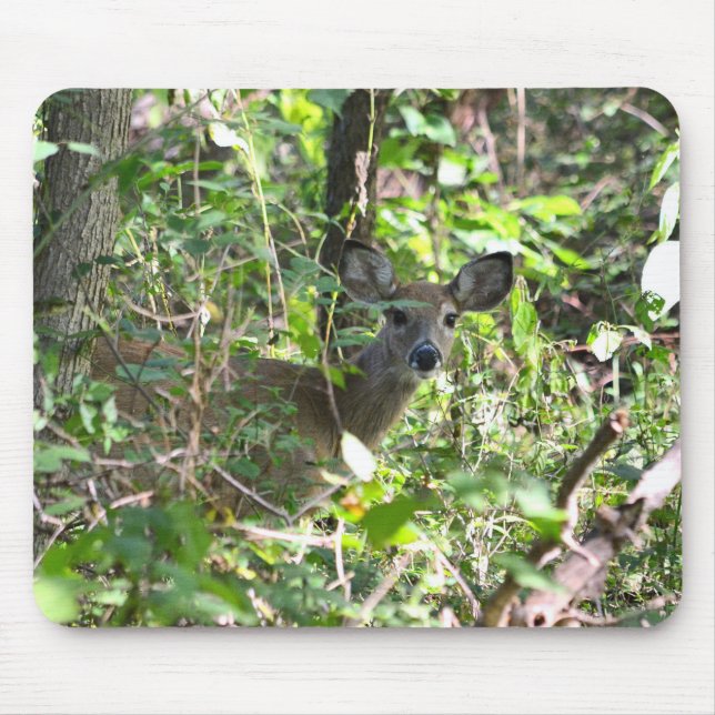 Neugieriger Whitetail Deer Mousepad (Vorne)