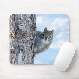 Neugieriges Eichhörnchen, das von einem Baum herbe Mousepad