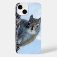 Neugieriges Eichhörnchen, kanadische Naturfotograf