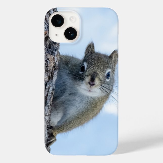 Neugieriges Eichhörnchen, kanadische Naturfotograf Case-Mate iPhone 14 Hülle (Rückseite)