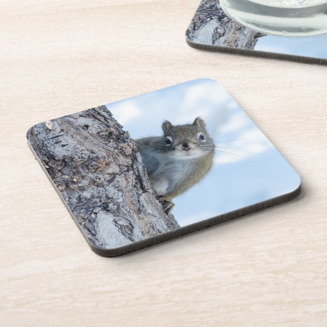 Neugieriges Eichhörnchen, kanadische Tierfotografi Getränkeuntersetzer (Linke Seite)