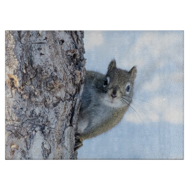 Neugieriges Eichhörnchen, kanadische Tierfotografi Schneidebrett (Vorderseite)