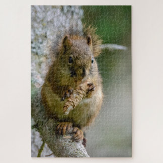 Neugieriges Eichhörnchen – Nahaufnahme der Natur