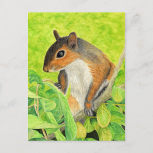 Neugieriges Eichhörnchen - Wildlife Art Postkarte