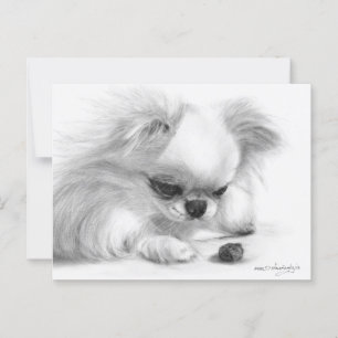 Neugieriges Handgemälztes Hundeschild in Chihuahua Postkarte