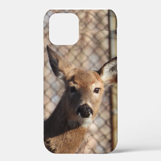 Neugieriges Hirsch im Wald Case-Mate iPhone Hülle (Rückseite)