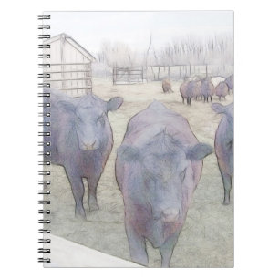 Neugieriges junges schwarzes Angus Notizblock