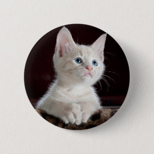 Neugieriges Kätzchen Button