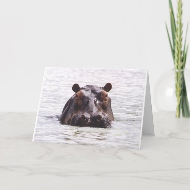 Neugieriges Keeboko (Flusspferd) Karte (Vorderseite)