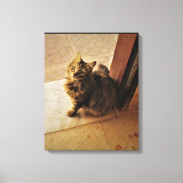 Neugieriges Kitesurf Leinwanddruck