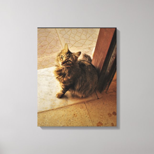 Neugieriges Kitesurf Leinwanddruck (Vorderseite)