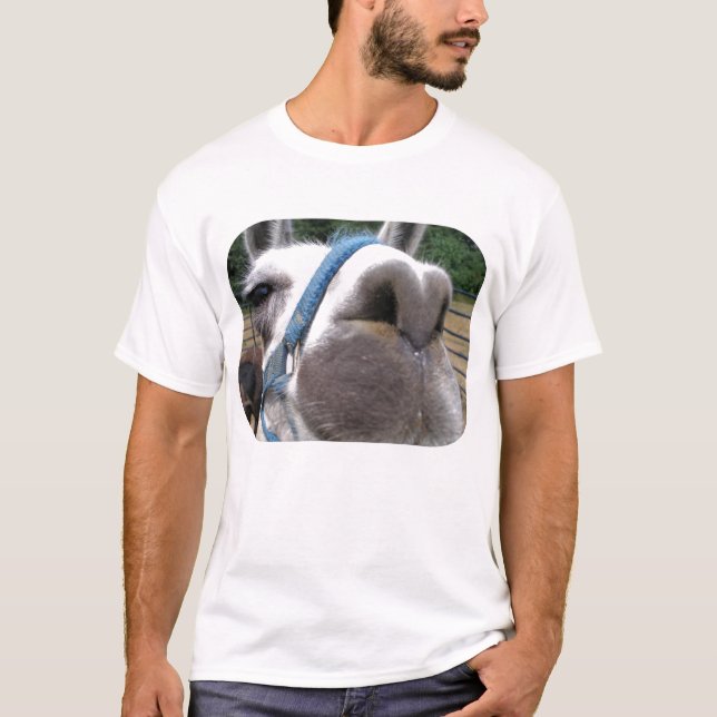 Neugieriges Lama T-Shirt (Vorderseite)