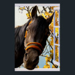 Neugieriges Pferd durch ein Küchenfenster schauen Poster<br><div class="desc">Das süße und skurrile Bild eines großen braunen Pferdes, das durch ein offenes Fenster schaut und seinen Kopf hineinklebt. Neugierige und freundliche Pferde. Dieses große, schöne Tier hat sanfte und weiche braune Augen mit einem niedlich orangefarbenen Trägerhalter. Er hat perkle Ohren und eine lange Mähne und eine lange Fahne. Im...</div>